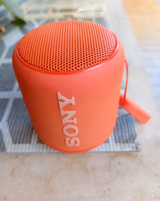 cassa bluetooth sony