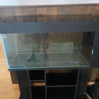 Acquario con mobiletto