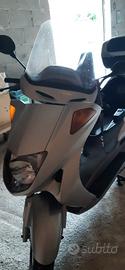 motociclo 