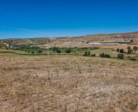 Terreno agricolo