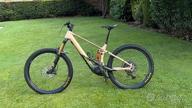 Orbea wild H 10 2024