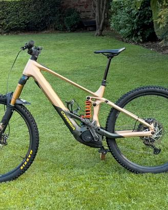 Orbea wild H 10 2024