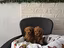 Immagine 2