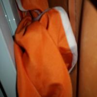 BORSE & TELI X GAZEBO