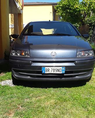 Fiat punto anche per neopatentato