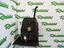 Immagine 1