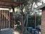Immagine 19