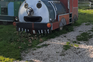 Trenino con vagoni artigianale