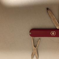 Victorinox
