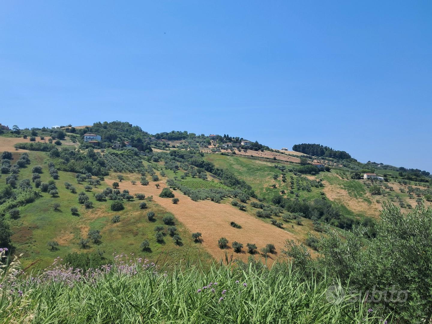 Terreno agricolo - Vista 2