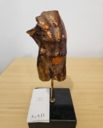 Busto in bronzo 