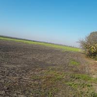 Terreno agricolo seminativo