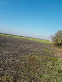 Terreno agricolo seminativo