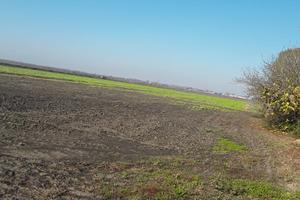 Terreno agricolo seminativo