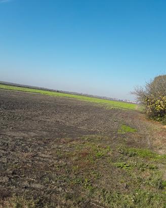 Terreno agricolo seminativo