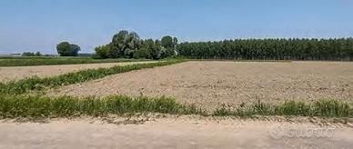 RGE 489/2022 Trib Pavia - LOTTO 4