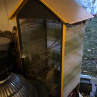 Voliera a casetta grande per uccelli