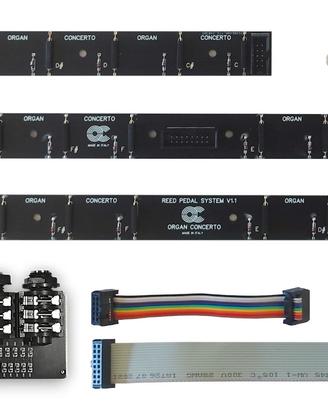 KIT SCHEDA ELETTRONICA MIDI PEDALIERA ORGANO REED