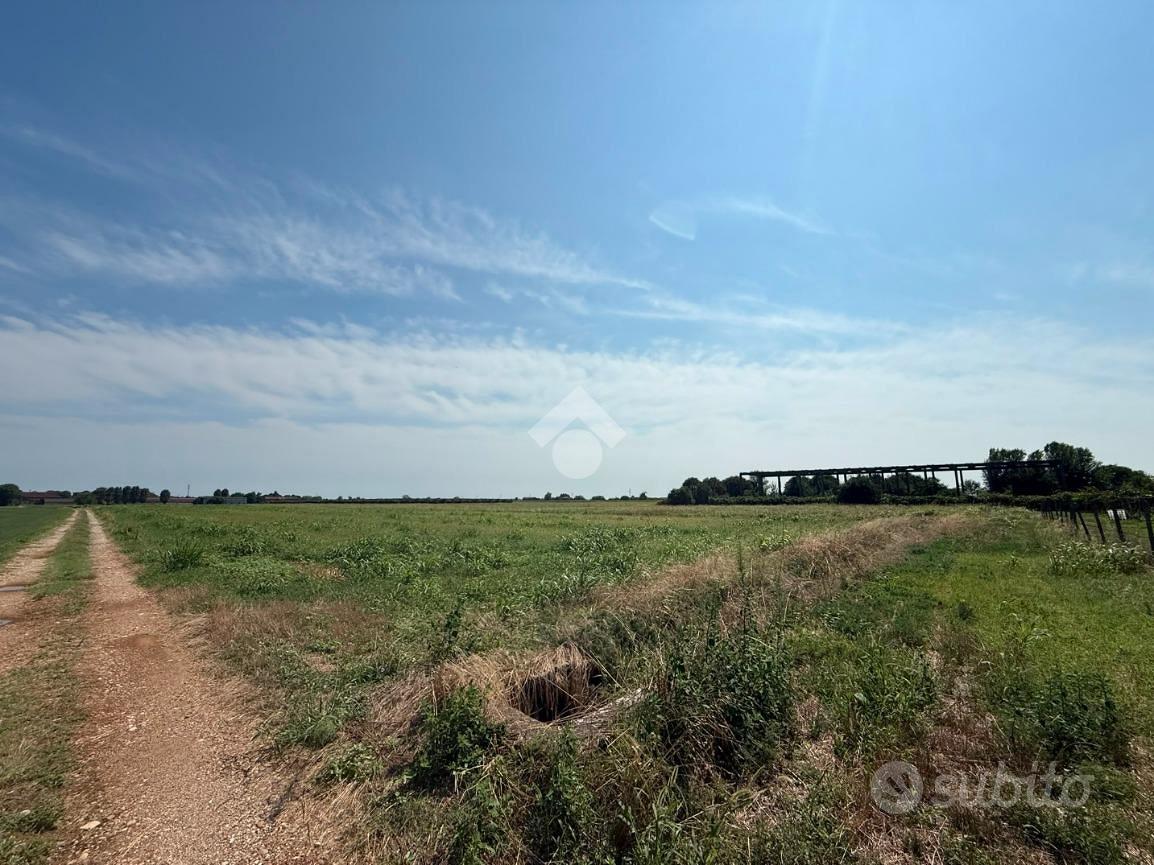 TER. AGRICOLO A ROVERBELLA - Vista 5