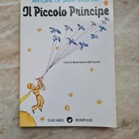 Libro Il Piccolo Principe
