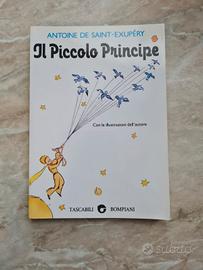 Libro Il Piccolo Principe