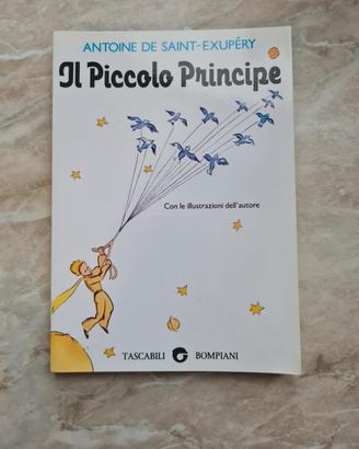 Libro Il Piccolo Principe
