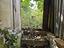 Immagine 26