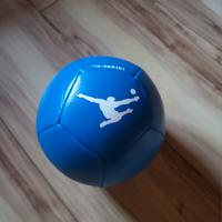 Pallone Panini The Kick