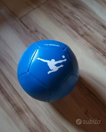 Pallone Panini The Kick