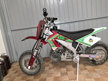 Minimoto Dm Competition