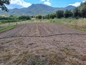 terreno agricolo edificabile