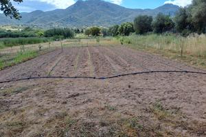 terreno agricolo edificabile