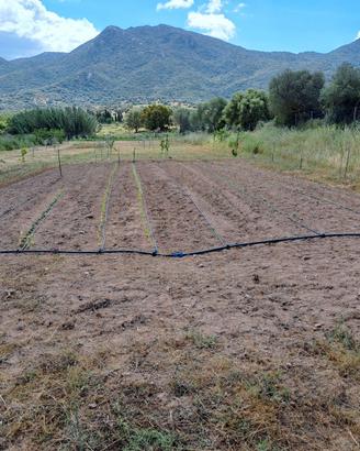terreno agricolo edificabile
