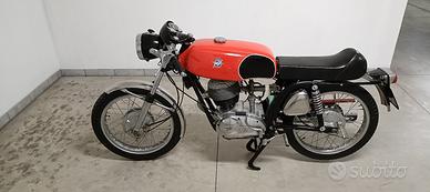 MV Agusta RSS 150 SPORT - 1972