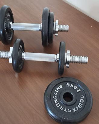 Manubri per  palestra componibili in ghisa