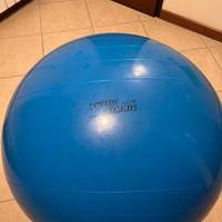 Palla fitness 95 cm blu Physio Gymnic