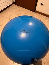 Palla fitness 95 cm blu Physio Gymnic