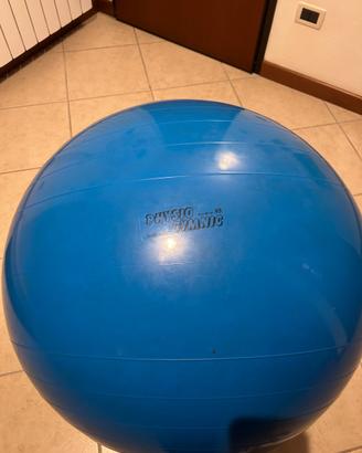 Palla fitness 95 cm blu Physio Gymnic