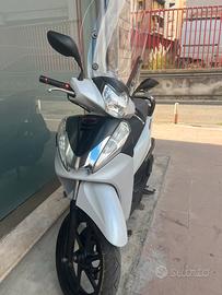 Sh 300 sport 2014