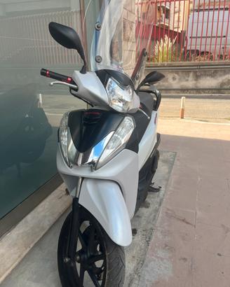 Sh 300 sport 2014
