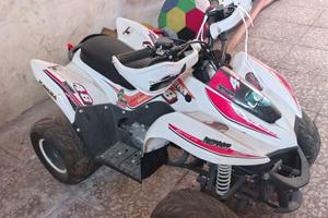 Mini Quad Lem Bigfoot 50cc 4 tempi