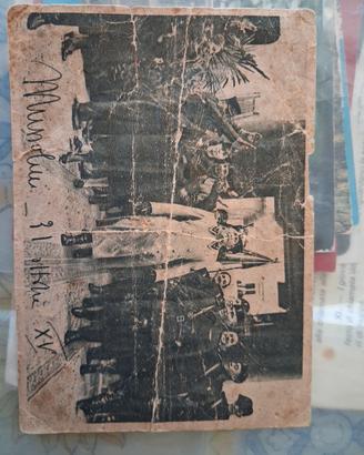 Cartolina