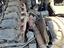 Immagine 26