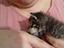 Immagine 4