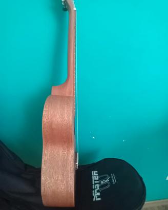 Ukulele con cutodia- zona Bravetta/Pisana