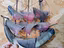 Immagine 5