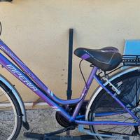 bicicletta da passeggio