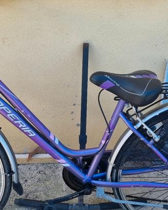 bicicletta da passeggio