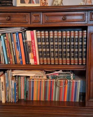 Libreria Roma in noce