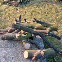  legna da ardere tagliata